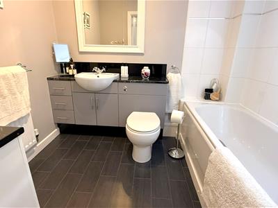 Picture 11